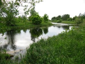 Infopäev Räpina poldri hoiualal poollooduslike koosluste hooldamise võimaluste kohta @ Keskkonnaameti Räpina kontori saalis | Räpina | Põlva maakond | Eesti