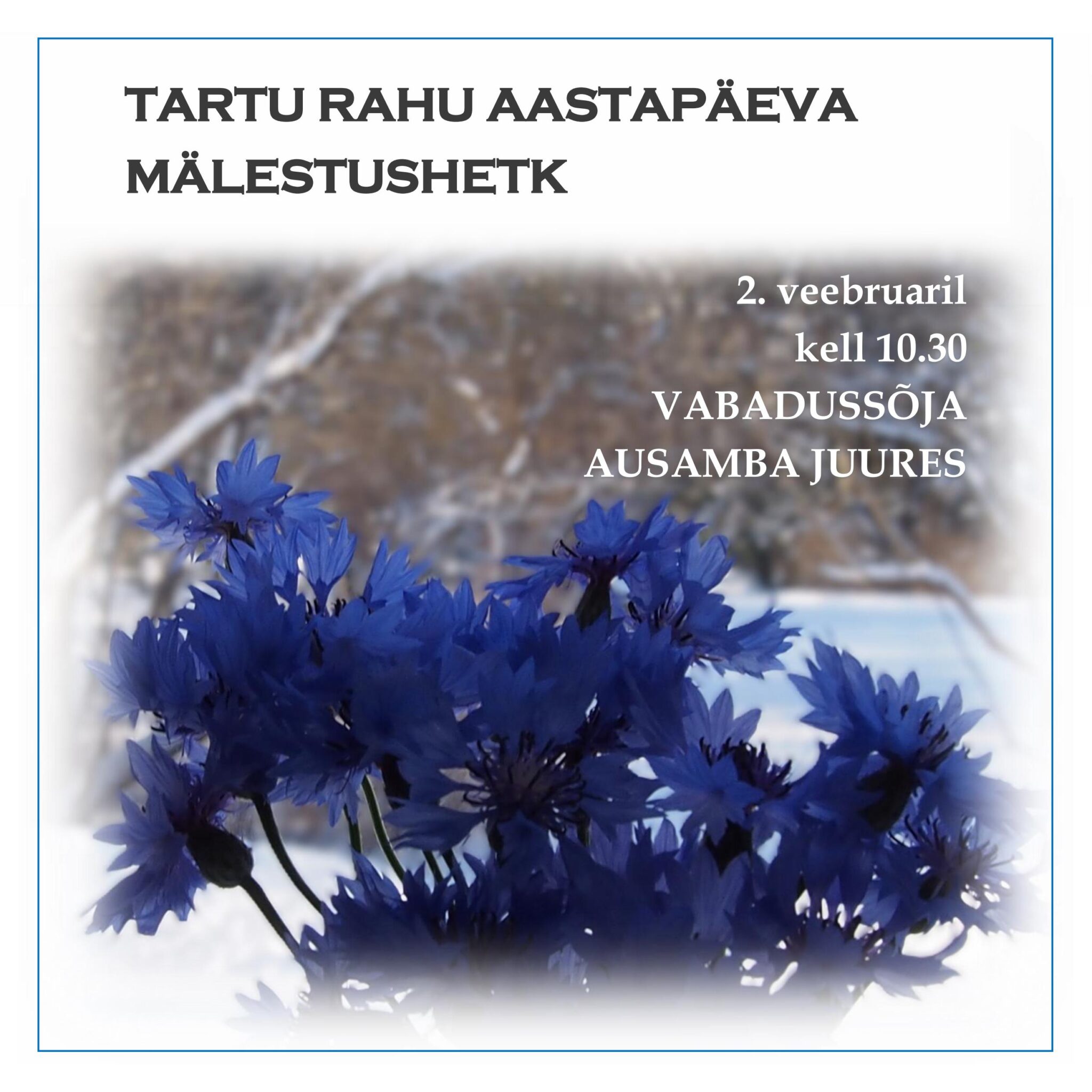 Tartu Rahu aastapäeva mälestushetk Vabadussõja ausamba juures @ Räpina Ausamba park